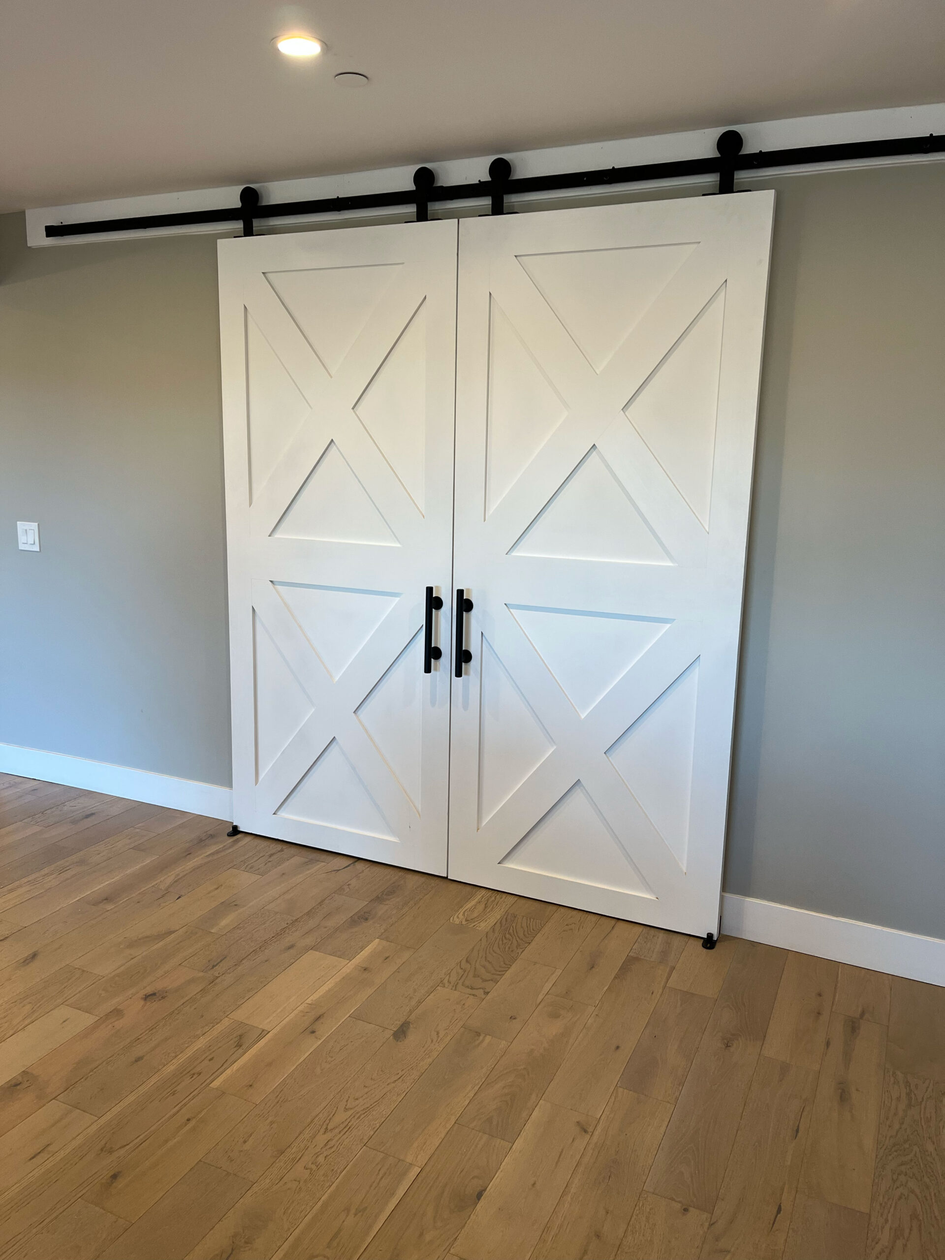 Interior door project